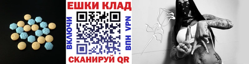 ЭКСТАЗИ Philipp Plein Купить Луза