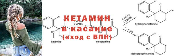 прущие крисы Гусев