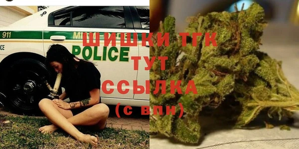 прущие крисы Гусев