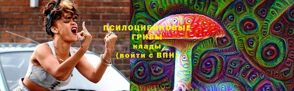 соль курить ск Дмитров