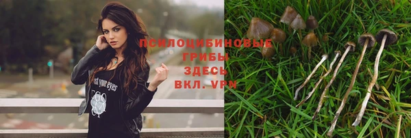 альфа пвп VHQ Гусь-Хрустальный